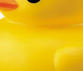 Rubber Duck