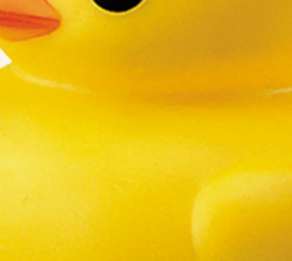 Rubber Duck