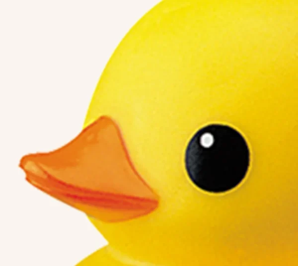 Rubber Duck